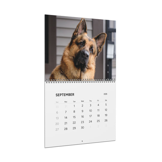 Hudson & Rex | 2026 Wall Calendar